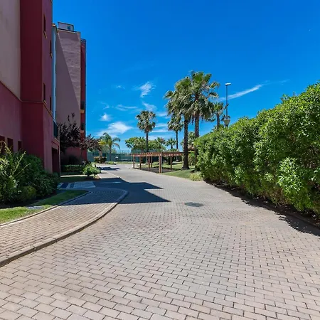 Palmeras By H - Playa Plhp51p65 *